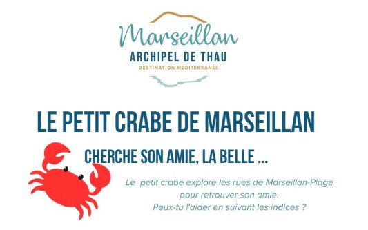 Le petit crabe de Marseillan