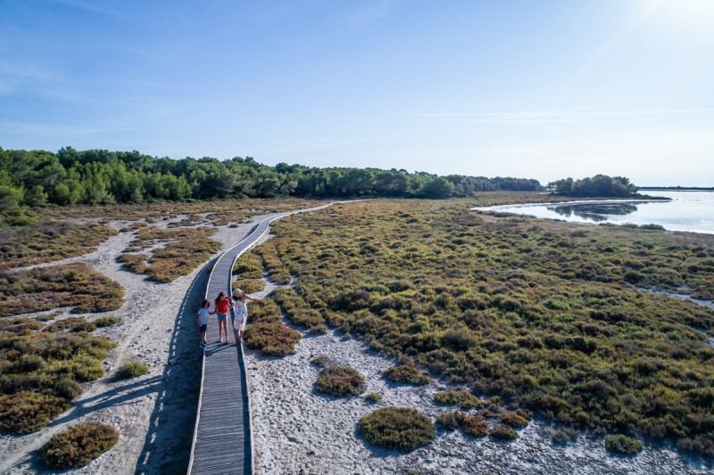 Les espaces naturels de l'Archipel de Thau ↗