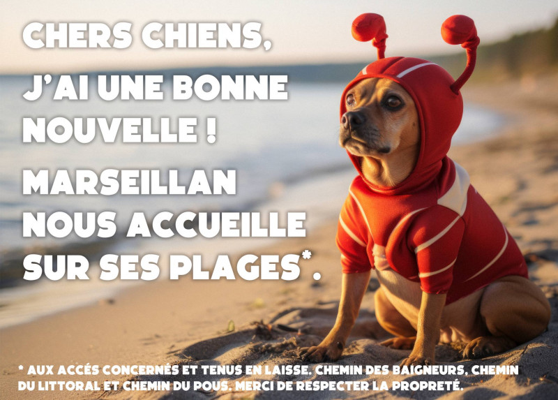 Mes vacances avec mon chien