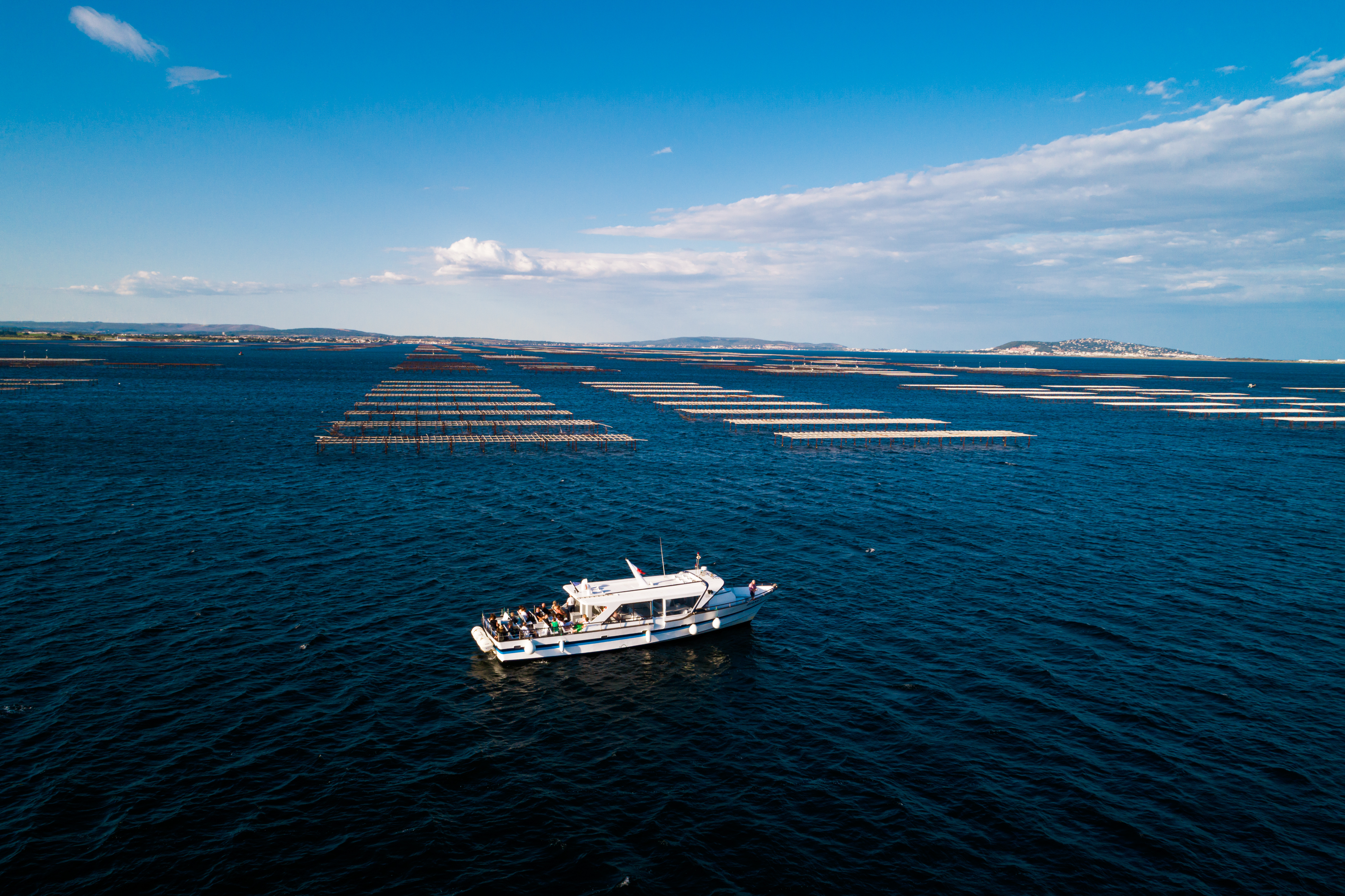 L'Étoile de Thau IV - Marseillan