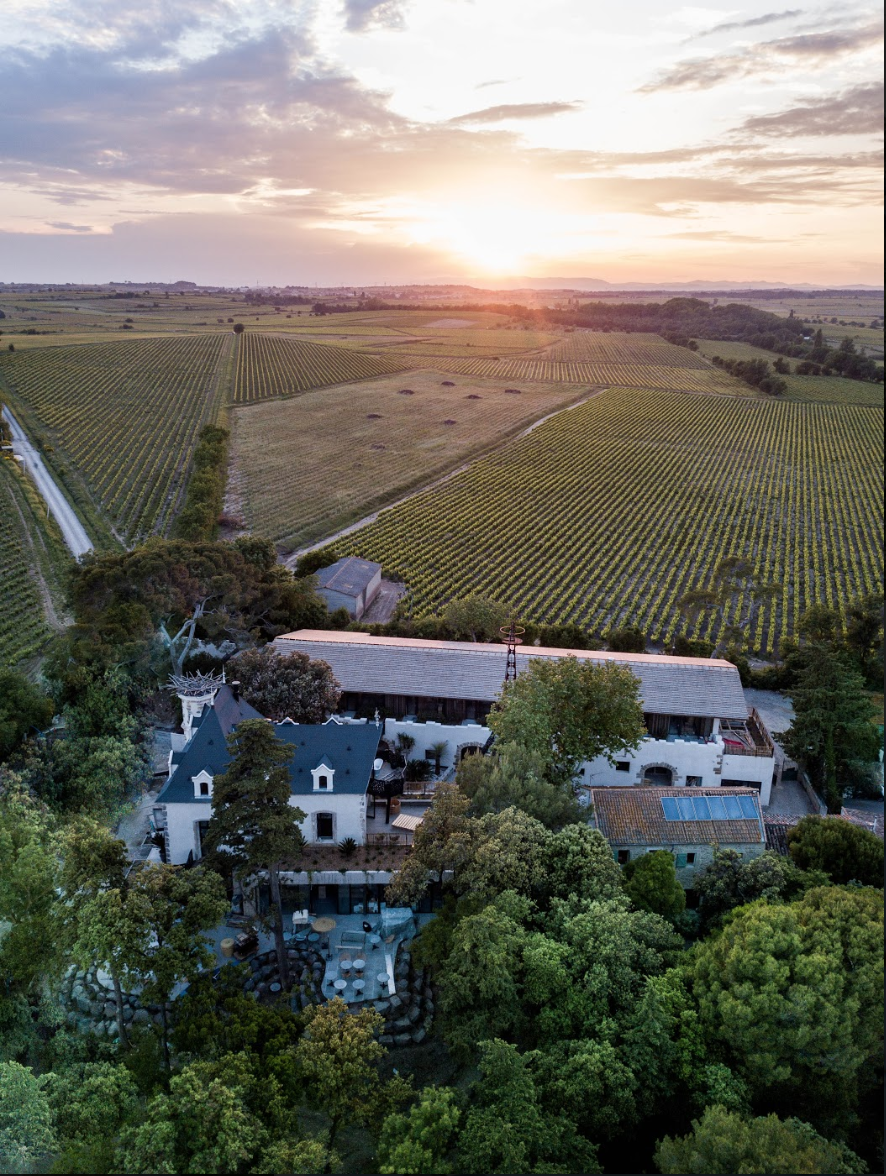 Vue du DOmaine entre vigne et lagune