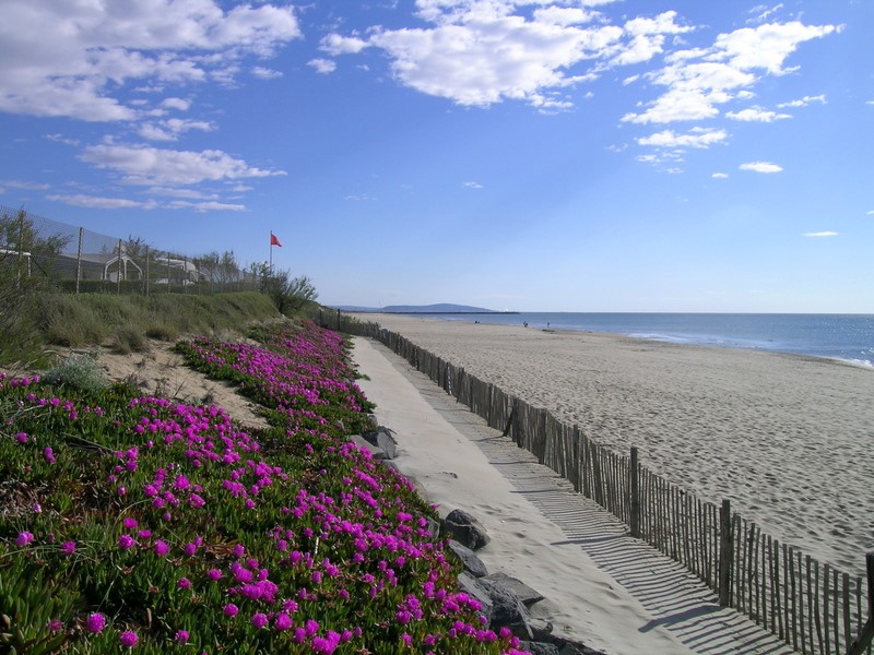 Plage fleurie