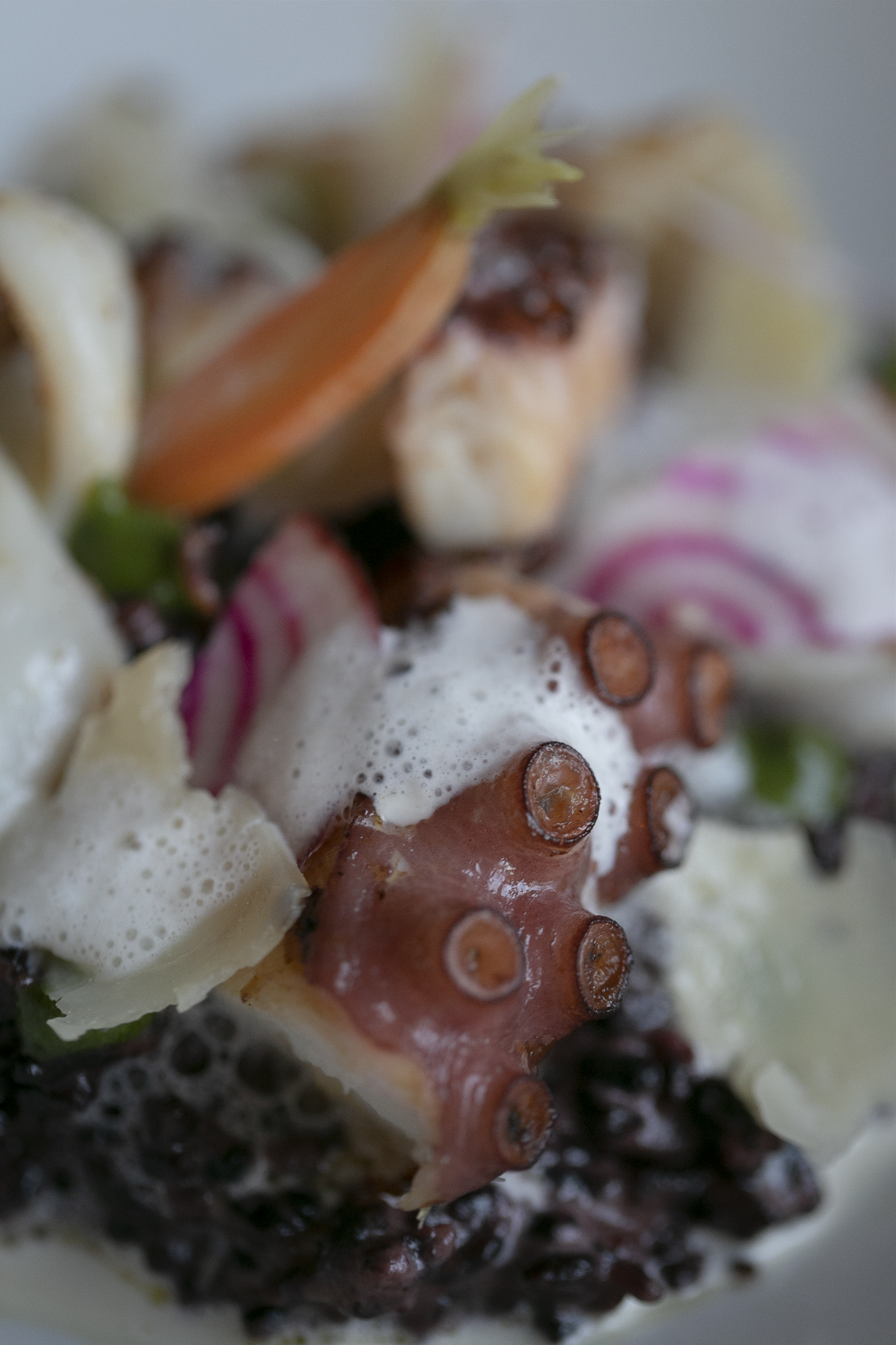 Risotto Vénéré au poulpe de Roche et encornets, pétales de vieux Rodez, pesto de pousses d’épinards et émulsion de nos huîtres(c)FredericDrigo