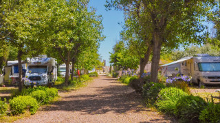 Camping Beauregard Plage - Camping Traditionnel situé au coeur de la natureA