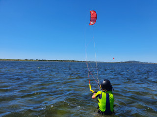 Kite Family