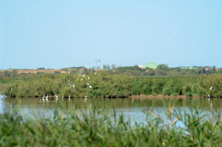 RESERVE DU BAGNAS - ADENA