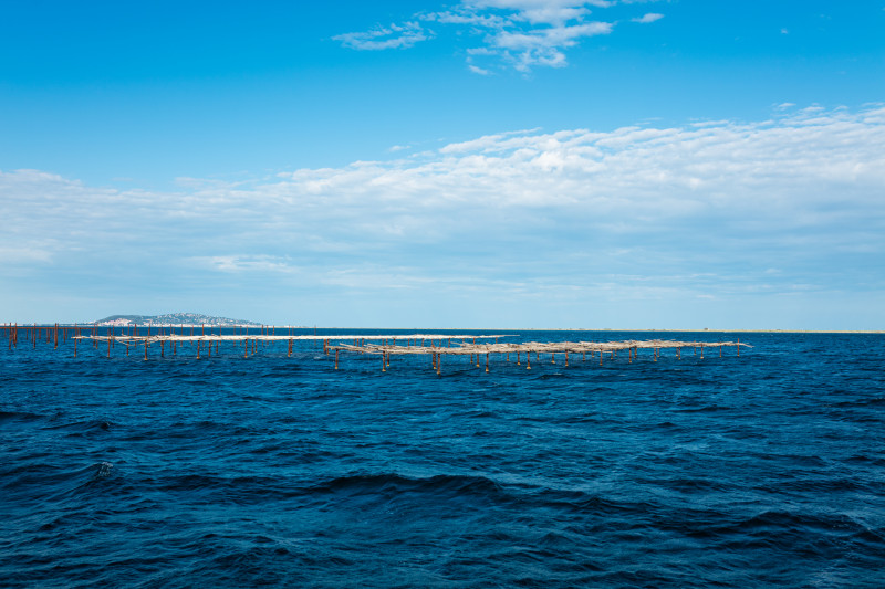 L'Étoile de Thau IV - Marseillan