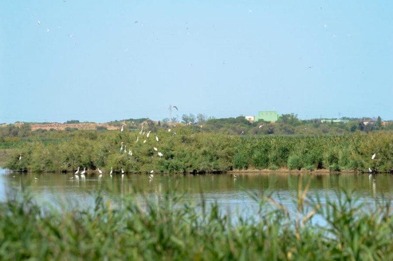 RESERVE DU BAGNAS - ADENA