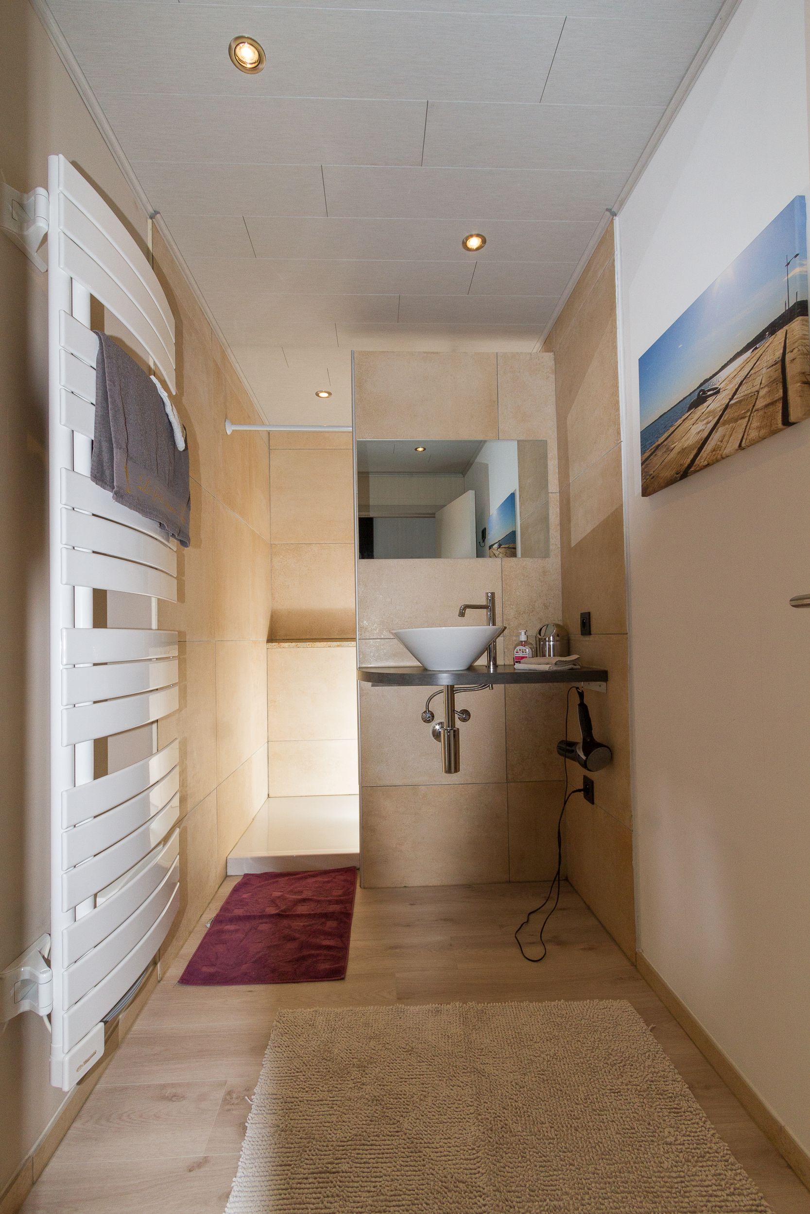 APPARTEMENT HIPPOCAMPE LES PIEDS DANS THAU LAMBERT FRANCE (6)