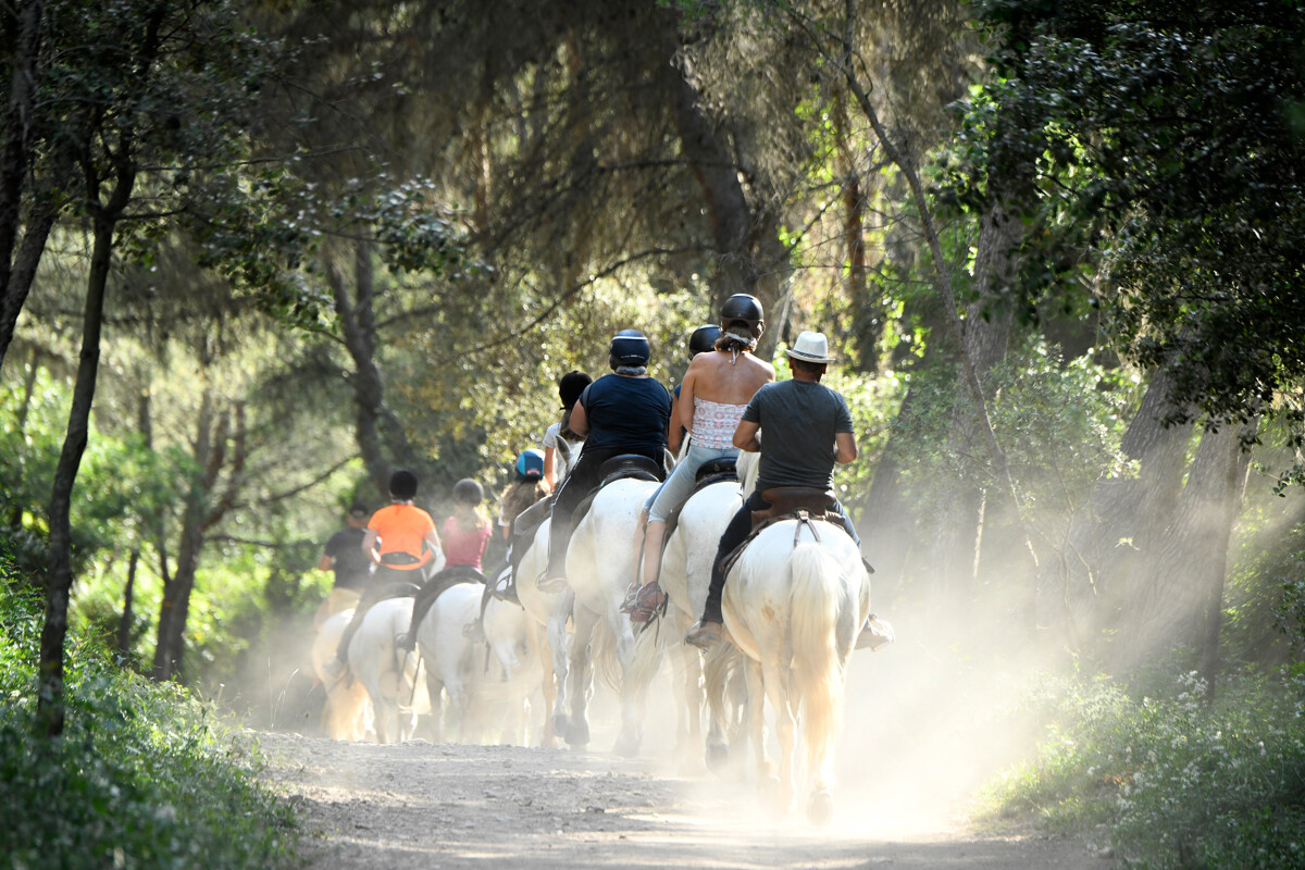 Horseback riding - © Office de Tourisme Archipel de Thau