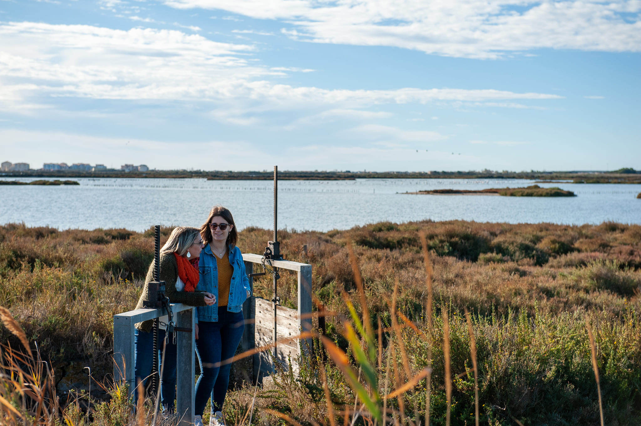 Les anciens salins de Frontignan 