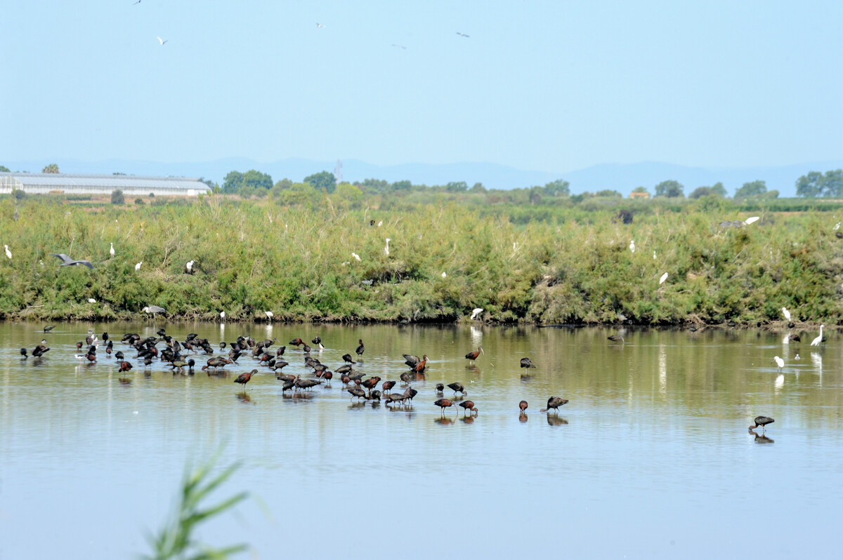 La reserva de Bagnas