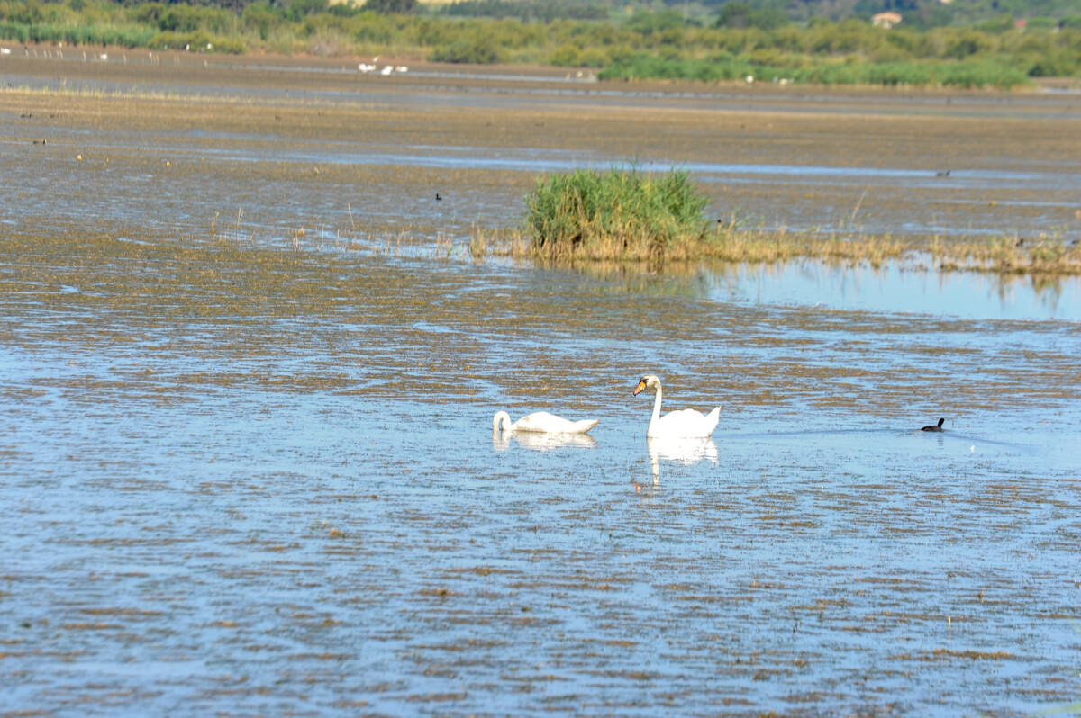 The Bagnas reserve