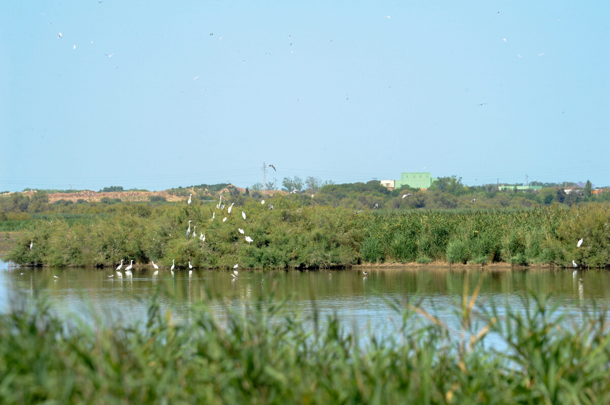 La reserva de Bagnas