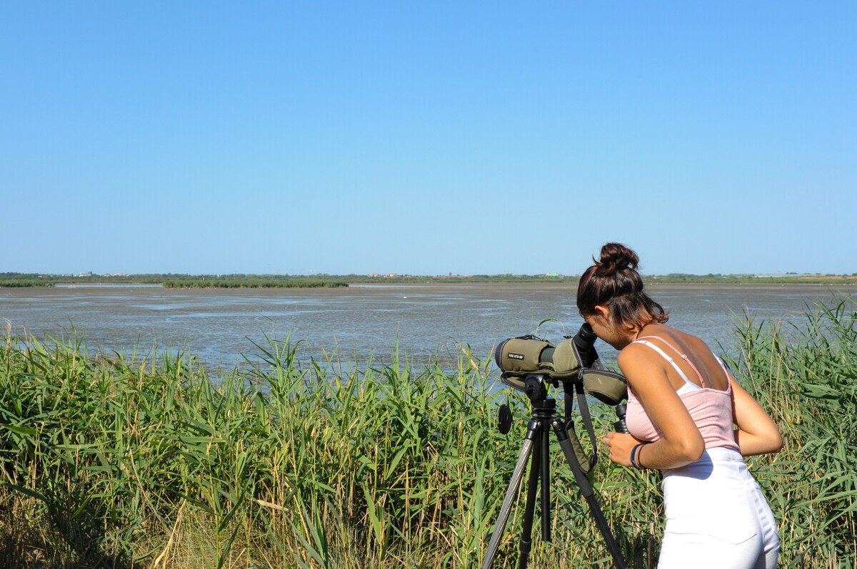 The Bagnas reserve in Marseillan - © Office de Tourisme Archipel de Thau