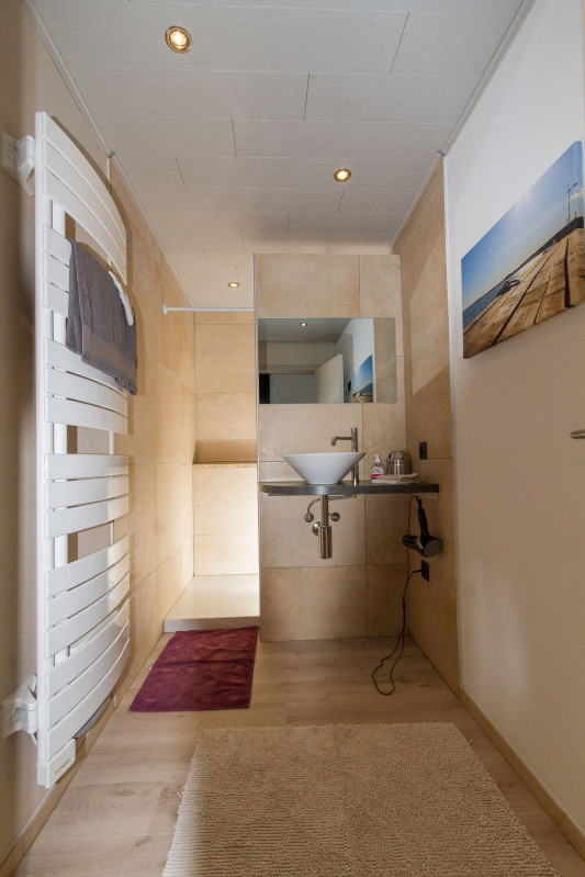 APPARTEMENT HIPPOCAMPE LES PIEDS DANS THAU LAMBERT FRANCE (6)
