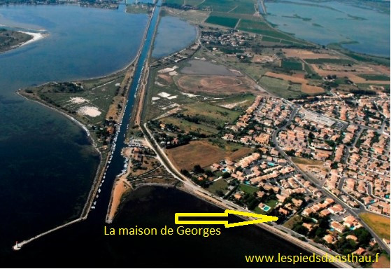 LA MAISON DE GEORGES LES PIEDS DANS THAU LAMBERT FRANCE (1)