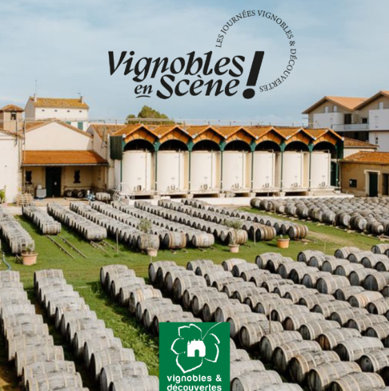 vignobles-en-scene-noilly-prat-17748951
