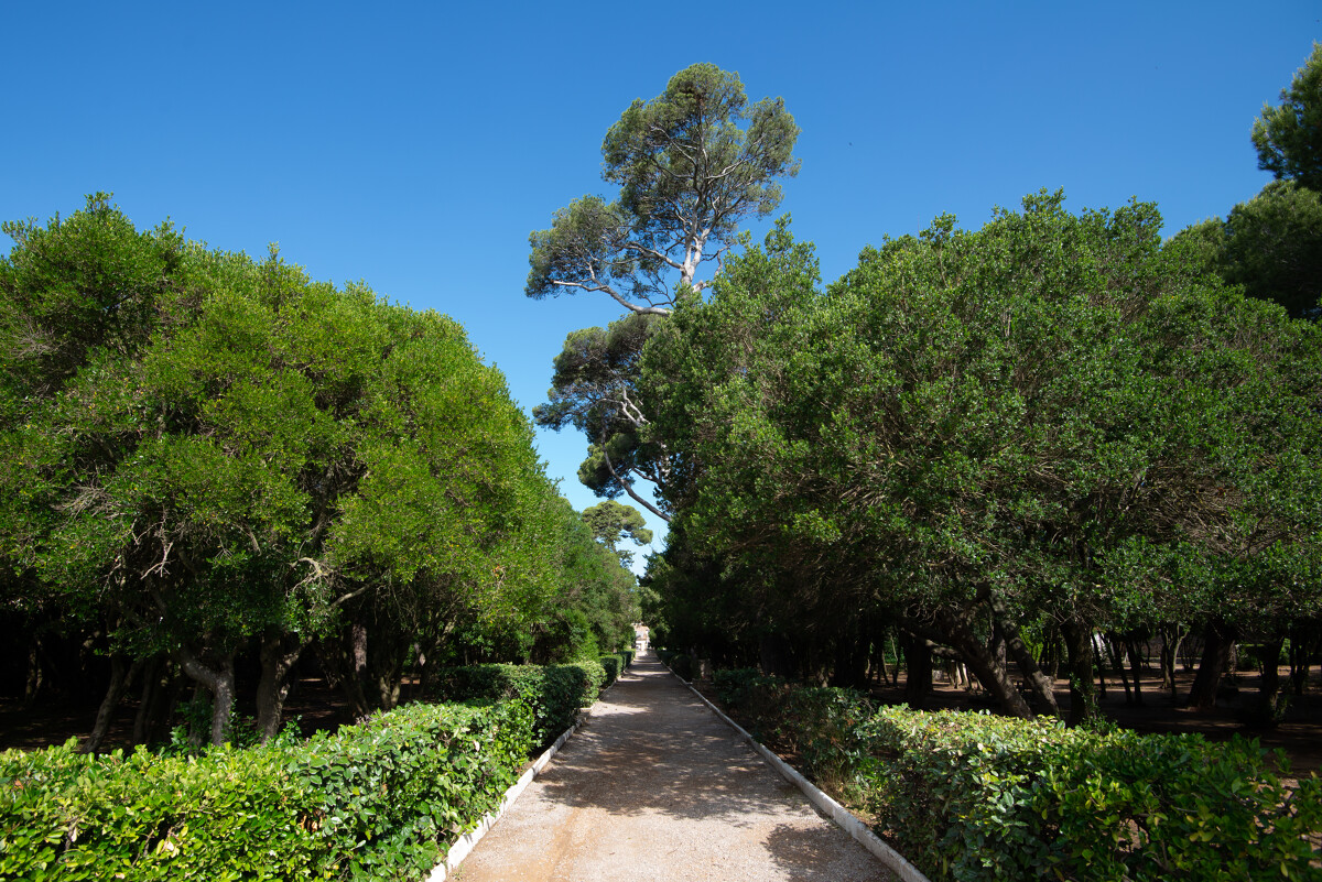 Parc Gaujal à Marseillan