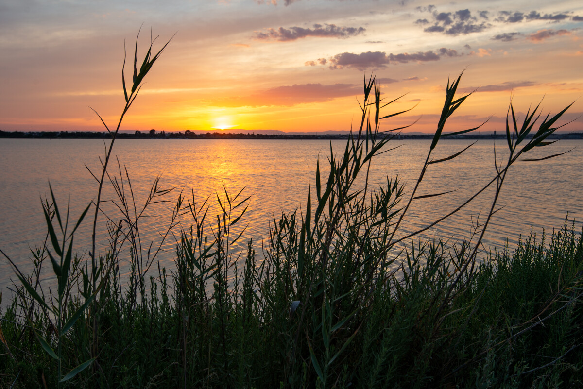 Vue sur la lagune de Thau depuis Marseillan